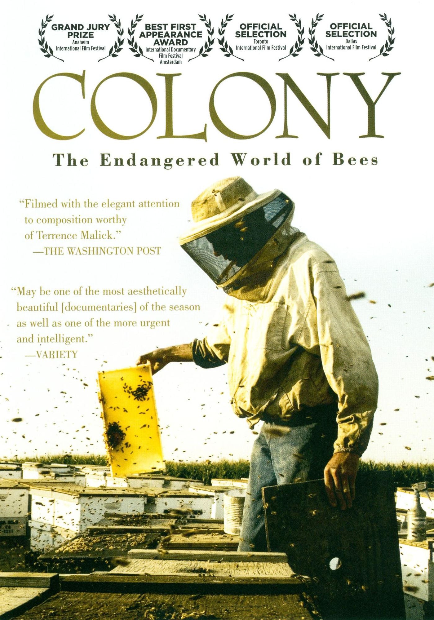 Colony