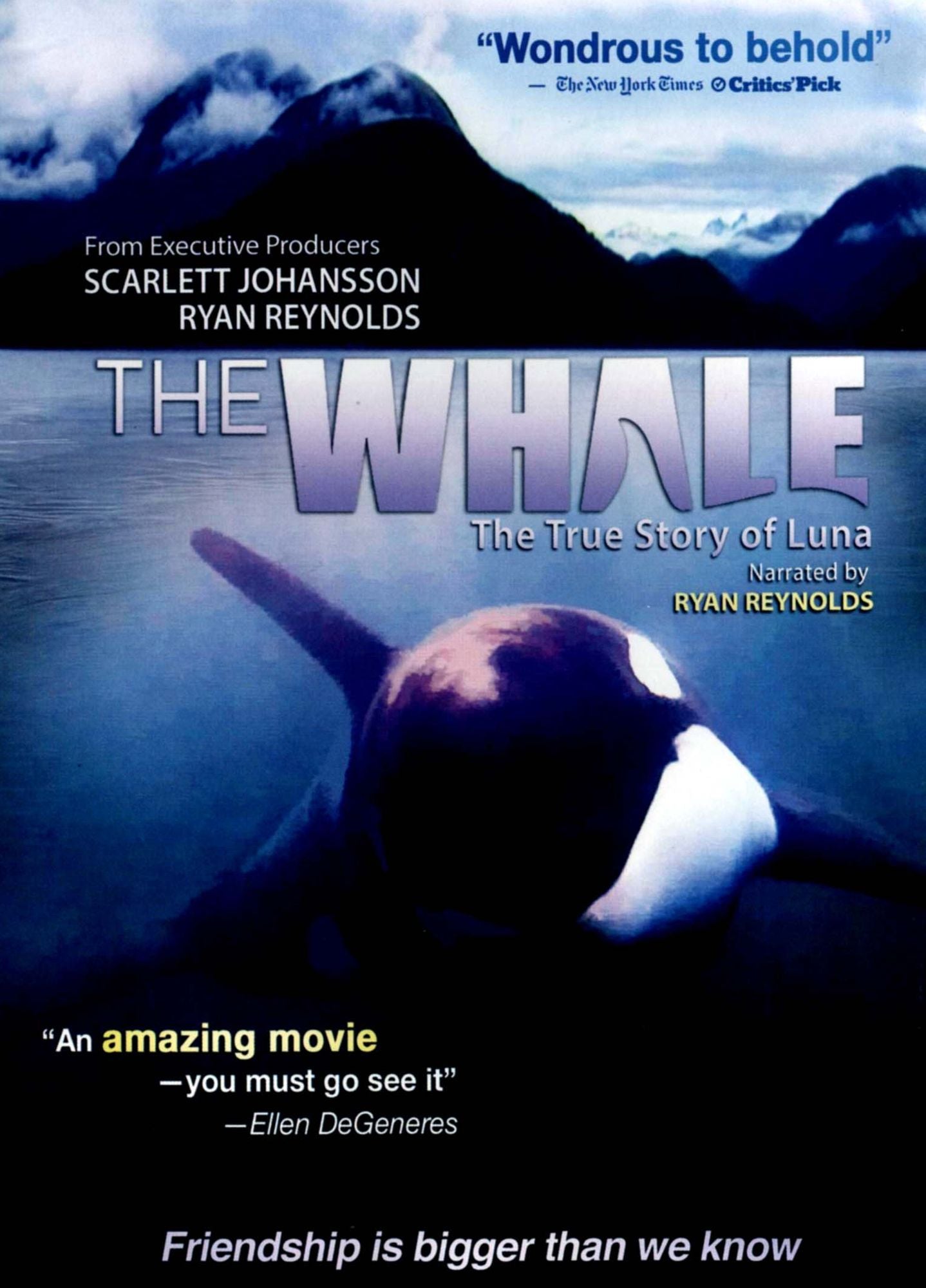 The Whale