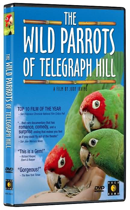 The Wild Parrots of Telegraph Hill