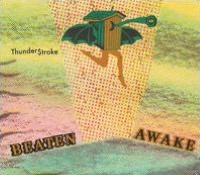 Thunder$troke