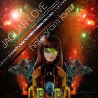 Hologram Jams