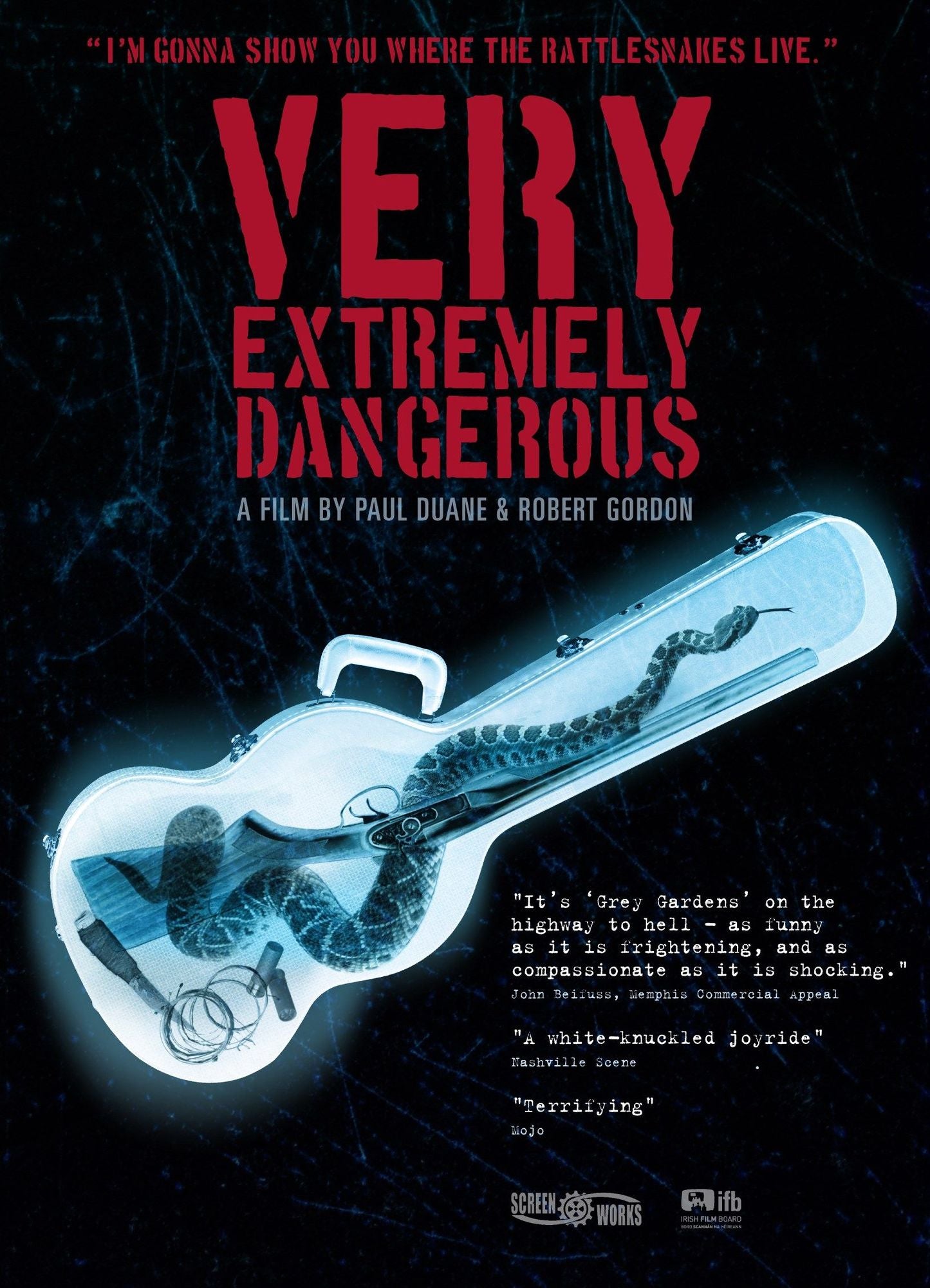 Very Extremely Dangerous [2 Discs]