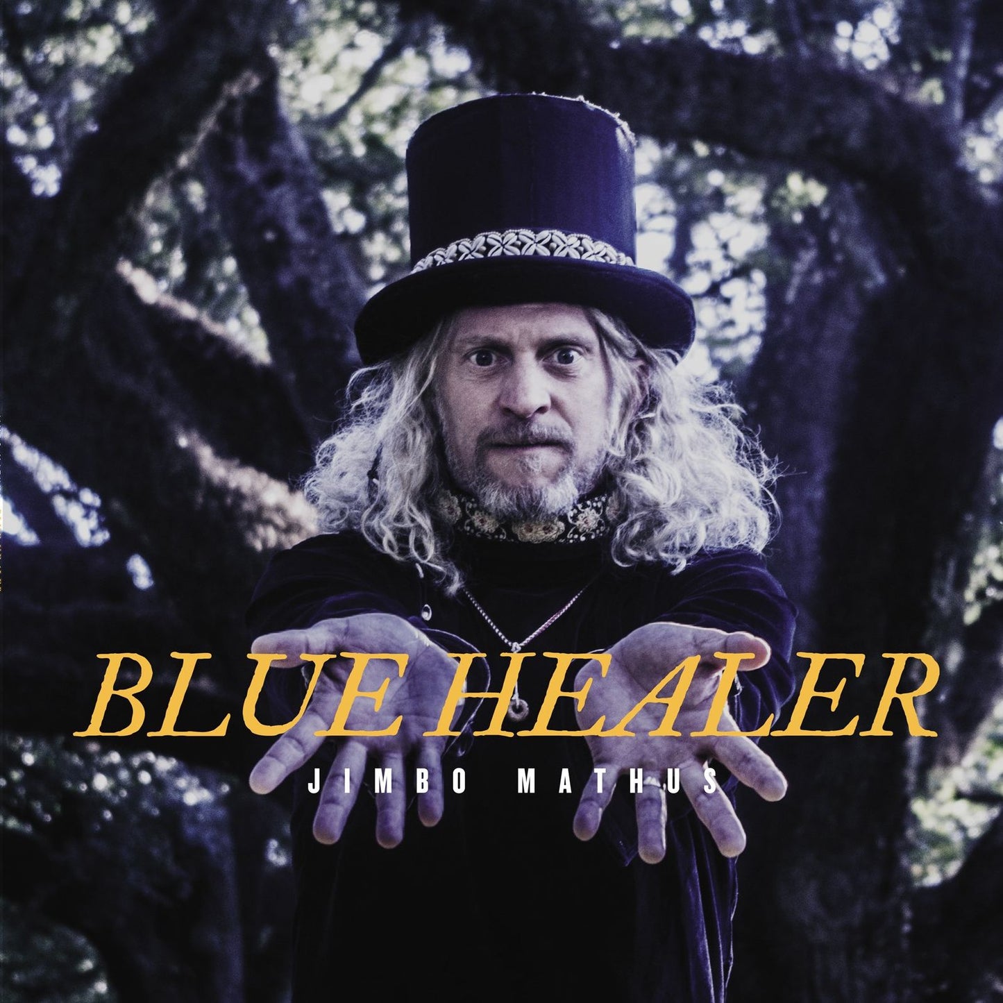 Blue Healer [Lp]