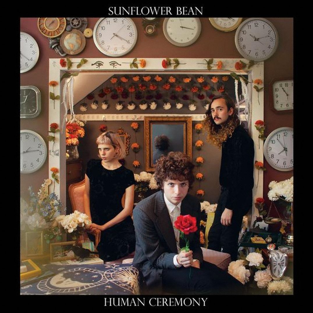 Human Ceremony [Lp]