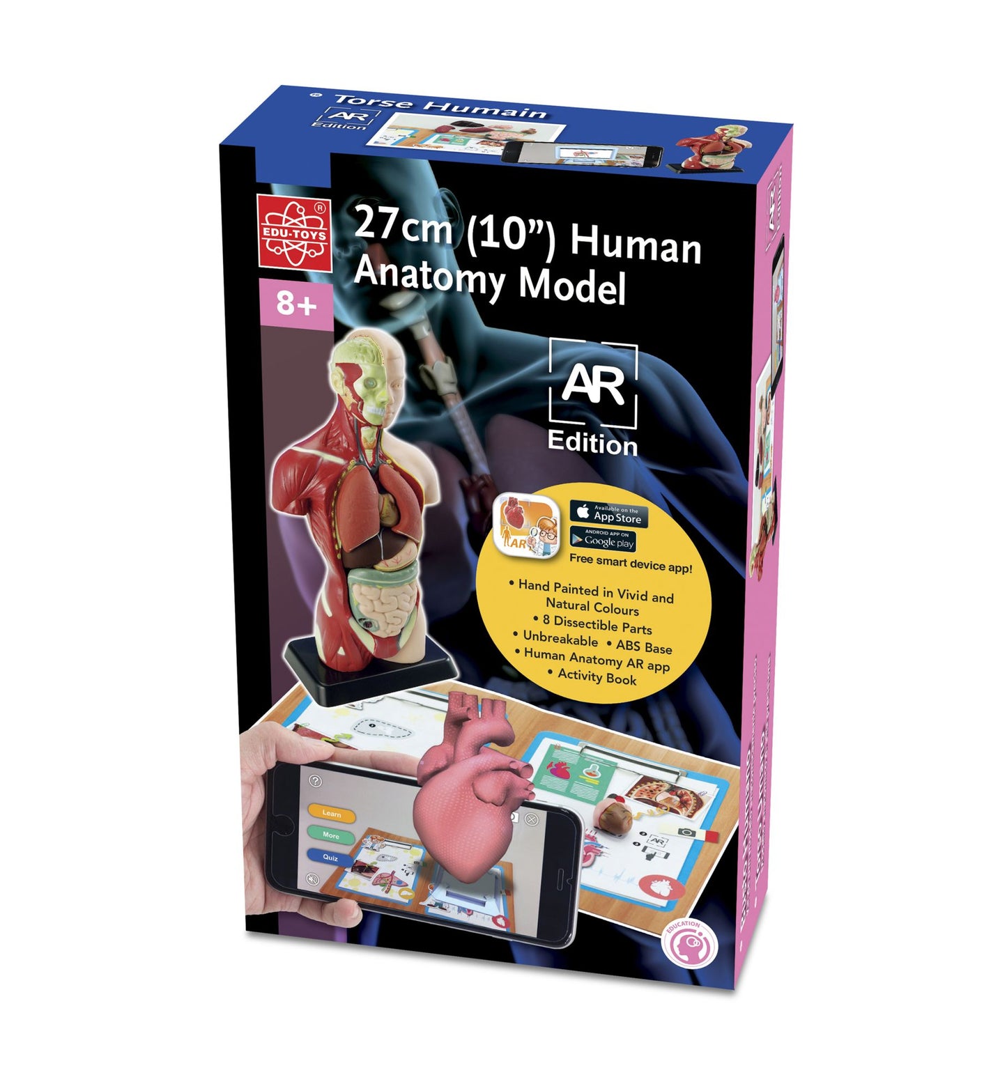 10'' Human Anatomy Model (AR verison)