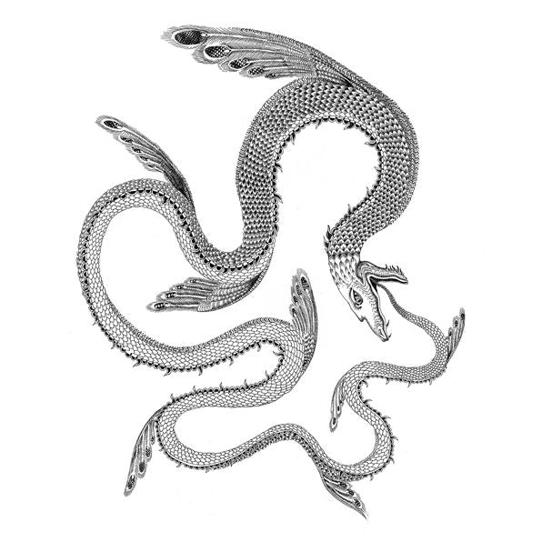 Il Serpente Nel Cielo