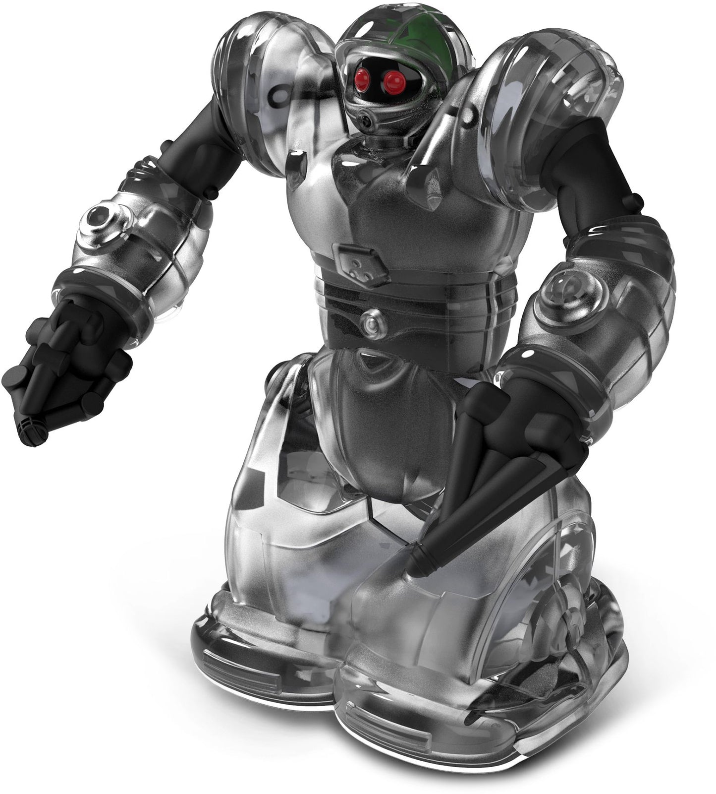 Build-A-Bot RC Robosapien