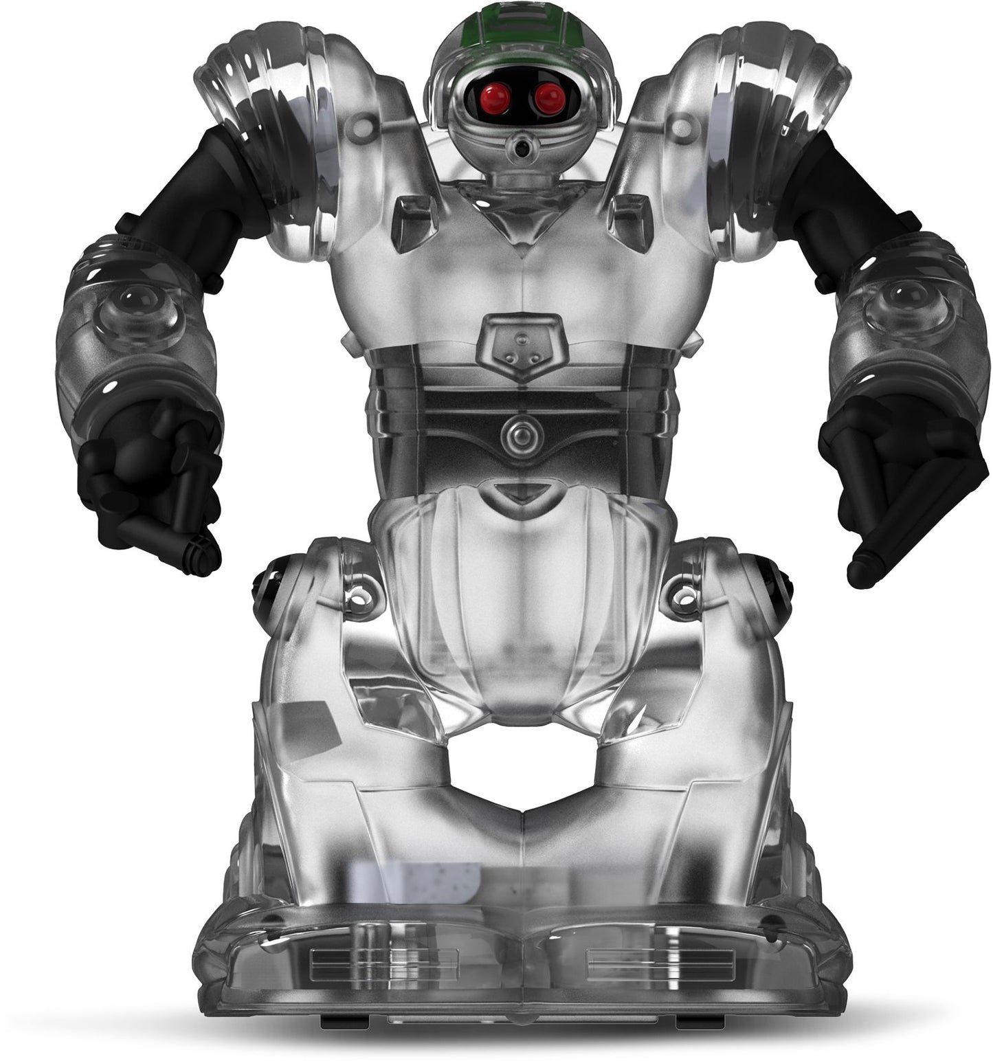 Build-A-Bot RC Robosapien