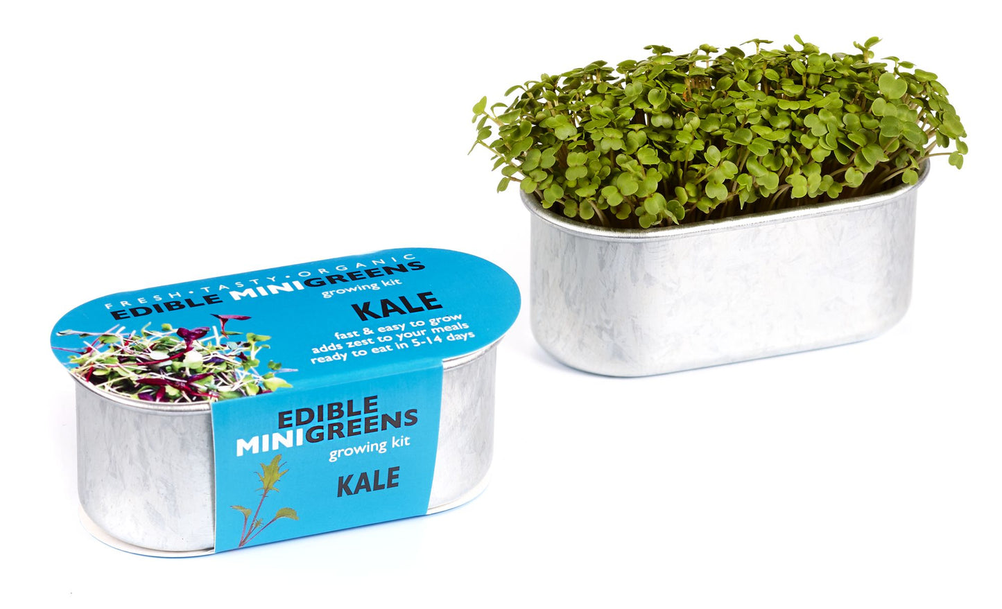 Mini Edible Greens Kit-Kale