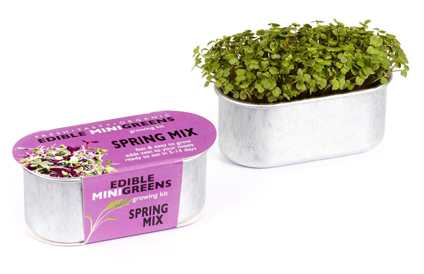 Mini Edible Greens Kit- Spring Mix