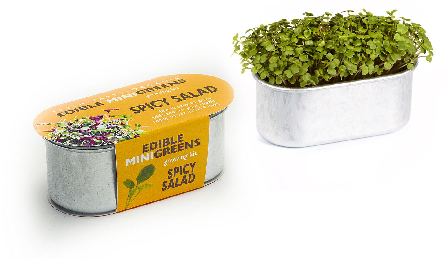 Mini Edible Greens Kit - Spicy Salad