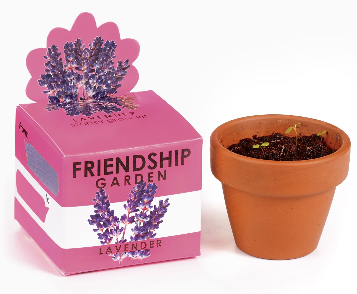 Lavender Mini Garden Kit