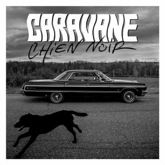 Chien Noir