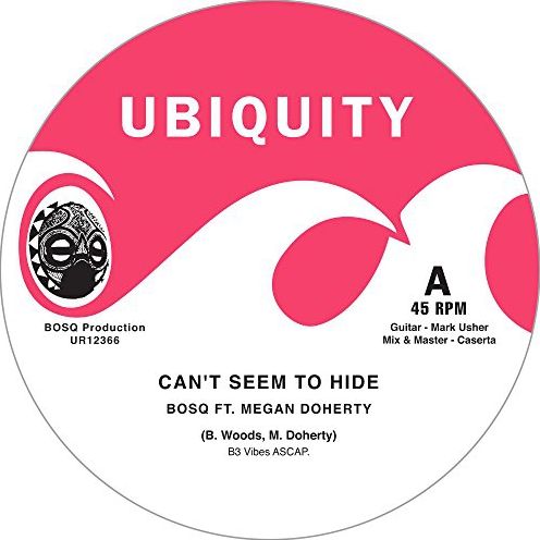 Can't Seem To Hide/take Me