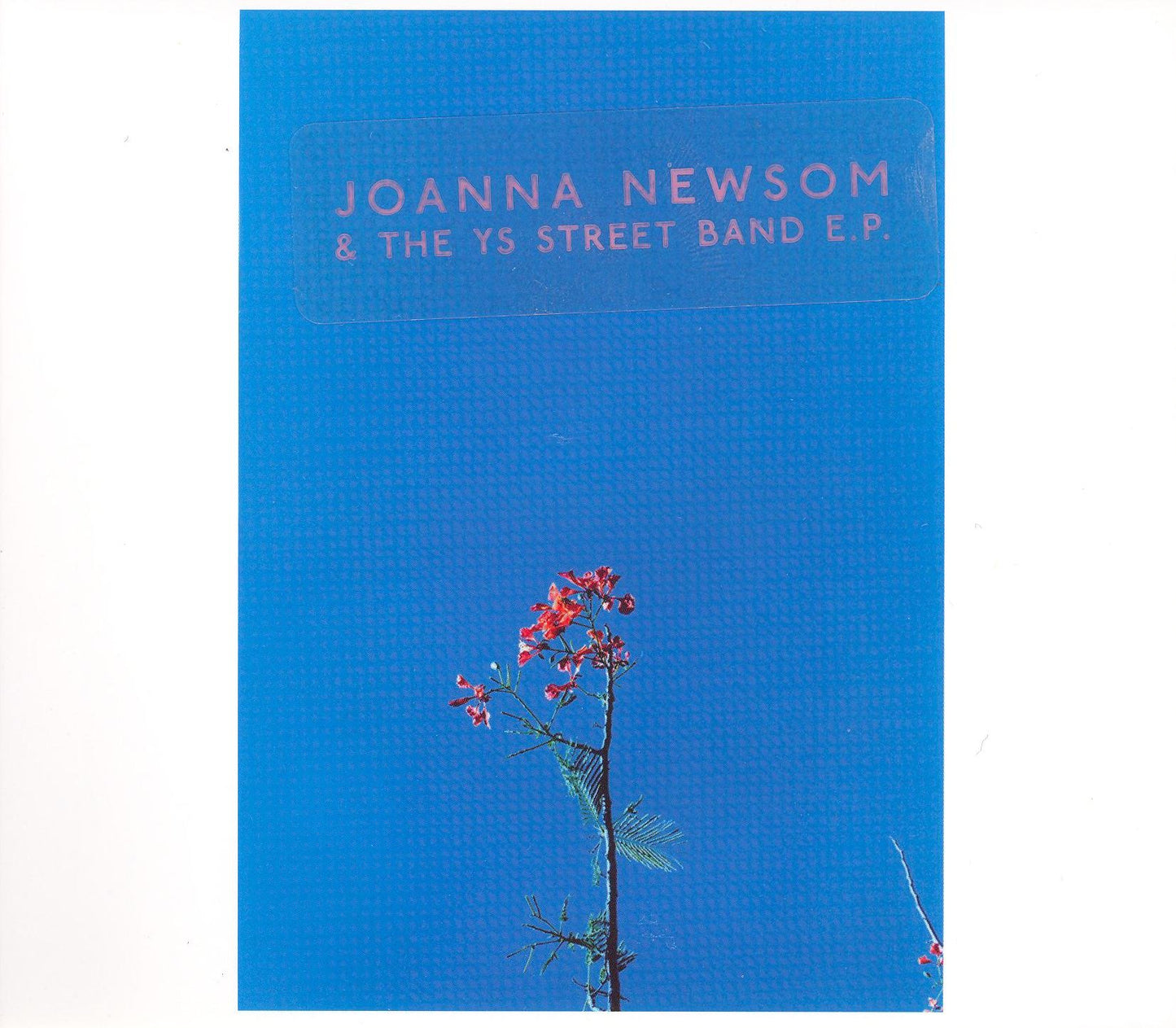 Joanna Newsom & The Ys Street Band Ep