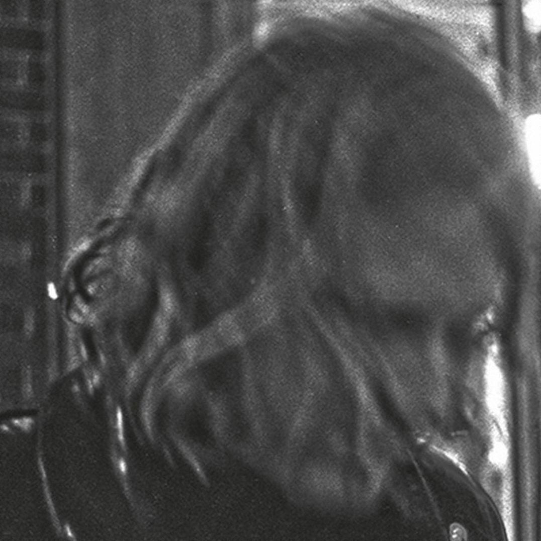 Ty Segall [Drag City] [Lp]