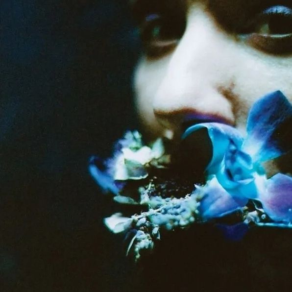 Reaching For Indigo