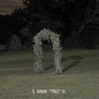Gazebo Effect