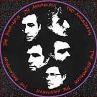The Anomoanon