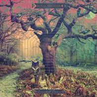 Crooked Doors [Lp]