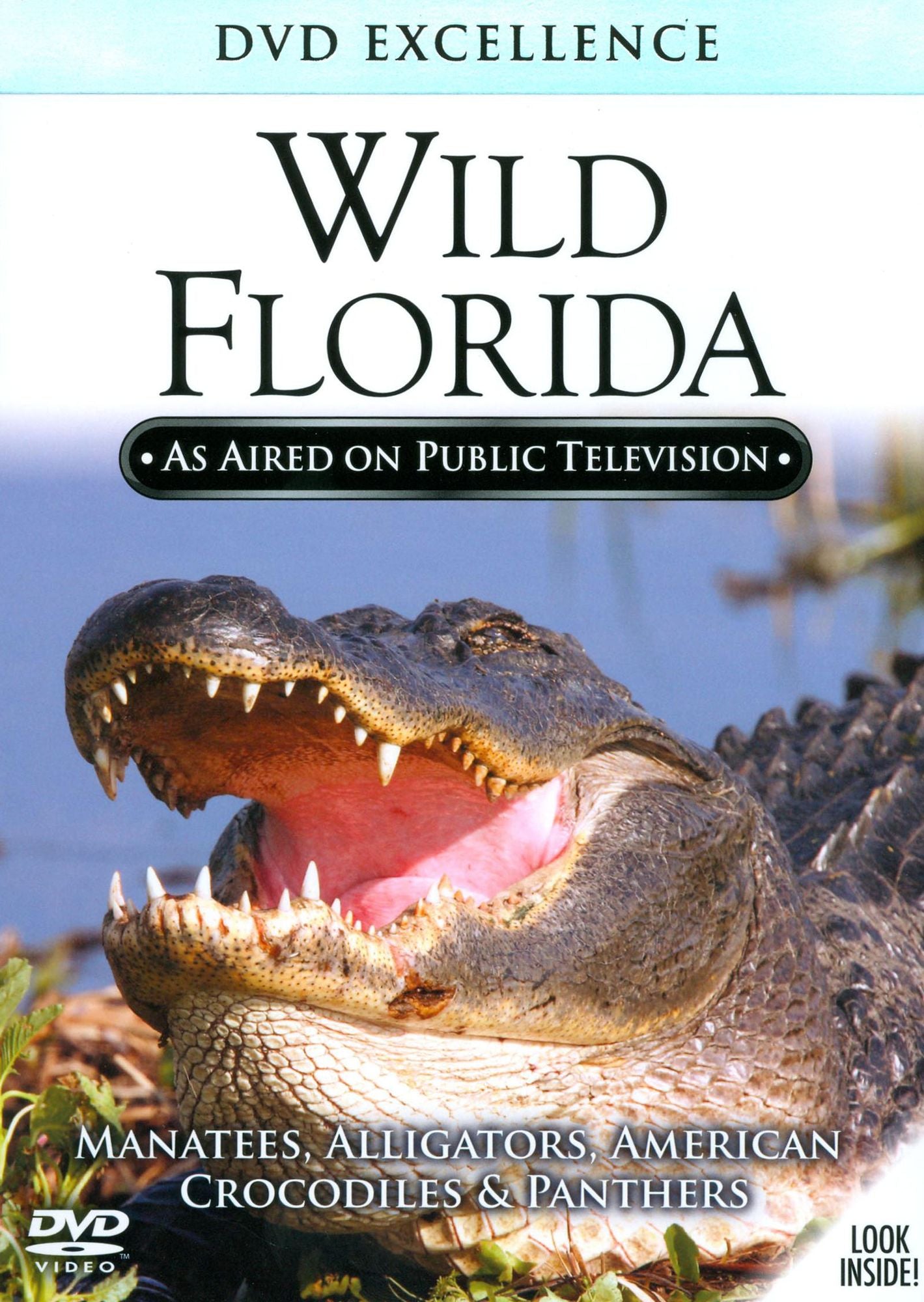 Wild Florida
