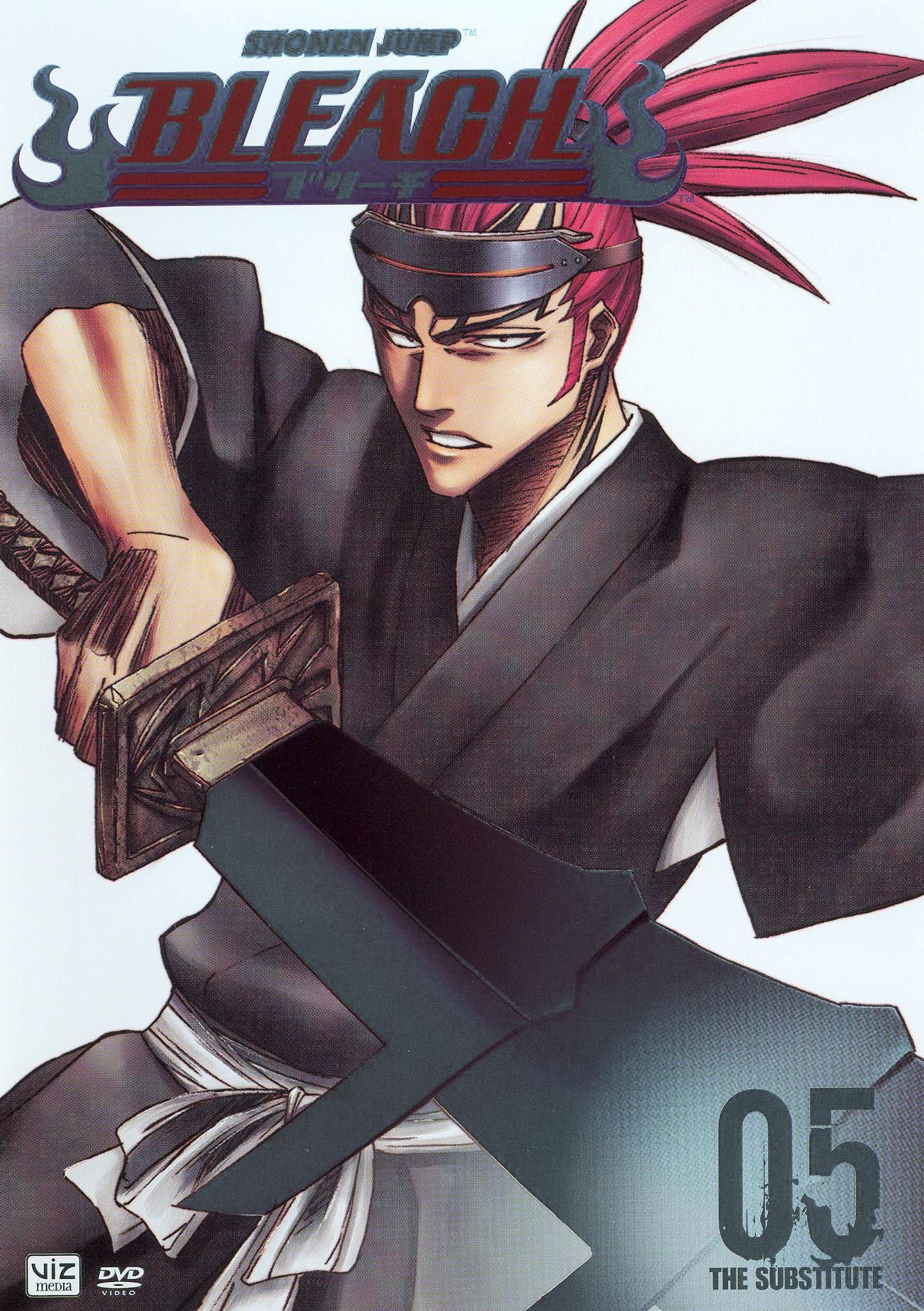 Bleach, Vol. 5