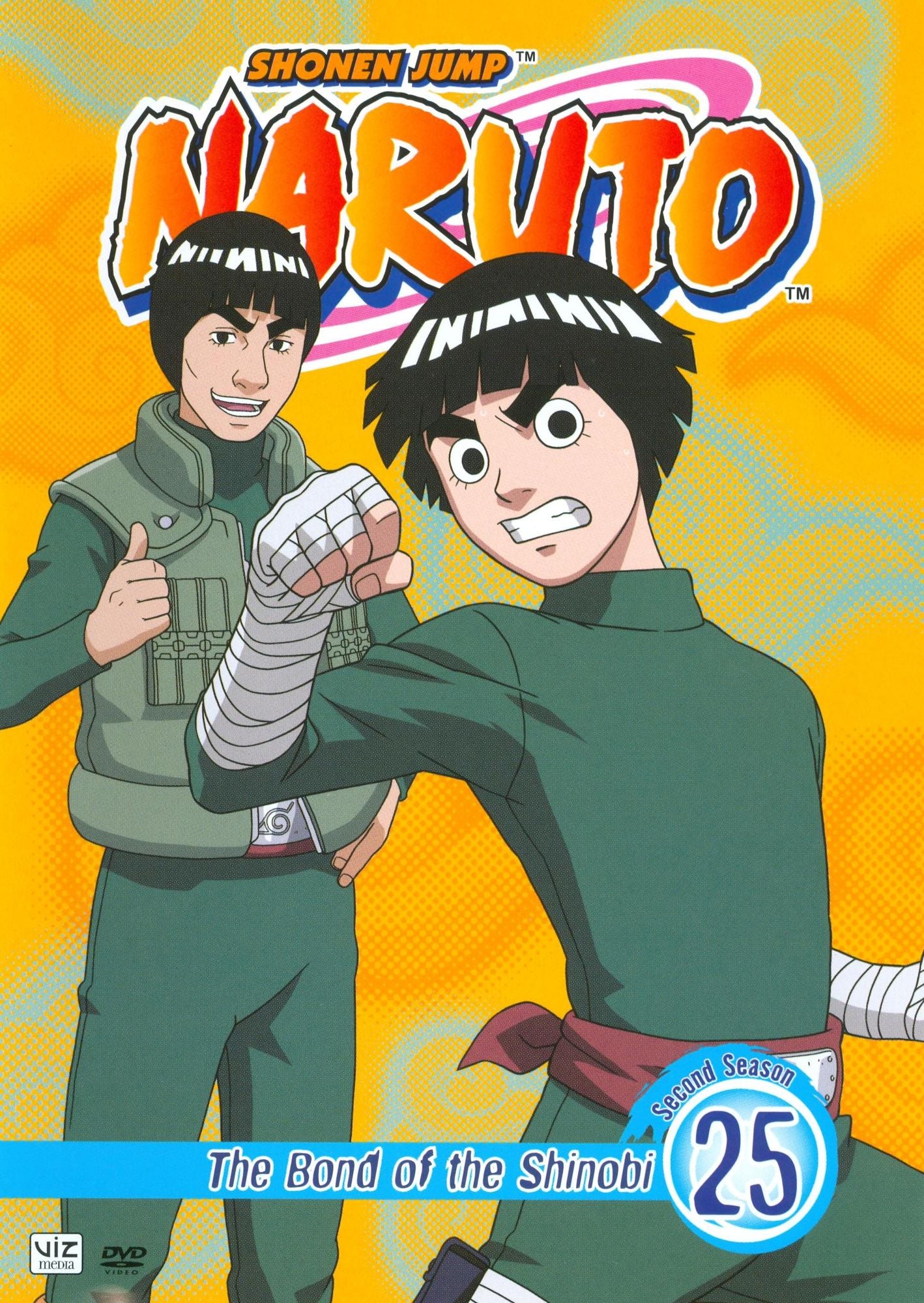 Naruto, Vol. 25
