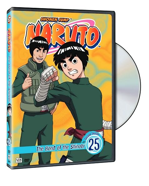 Naruto, Vol. 25