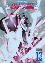 Bleach, Vol. 13