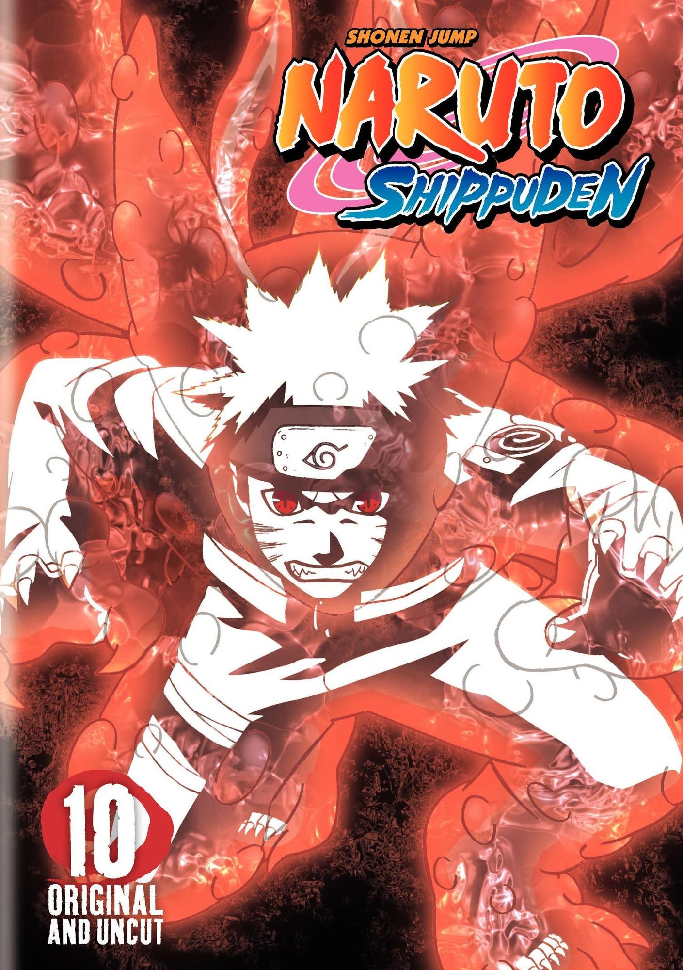 Naruto: Shippuden, Vol. 10
