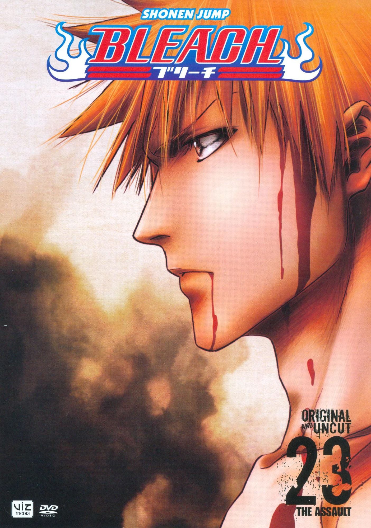 Bleach, Vol. 23
