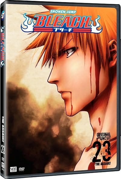 Bleach, Vol. 23
