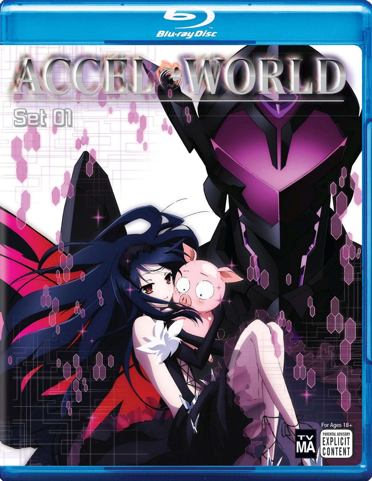 Accel World Set 1