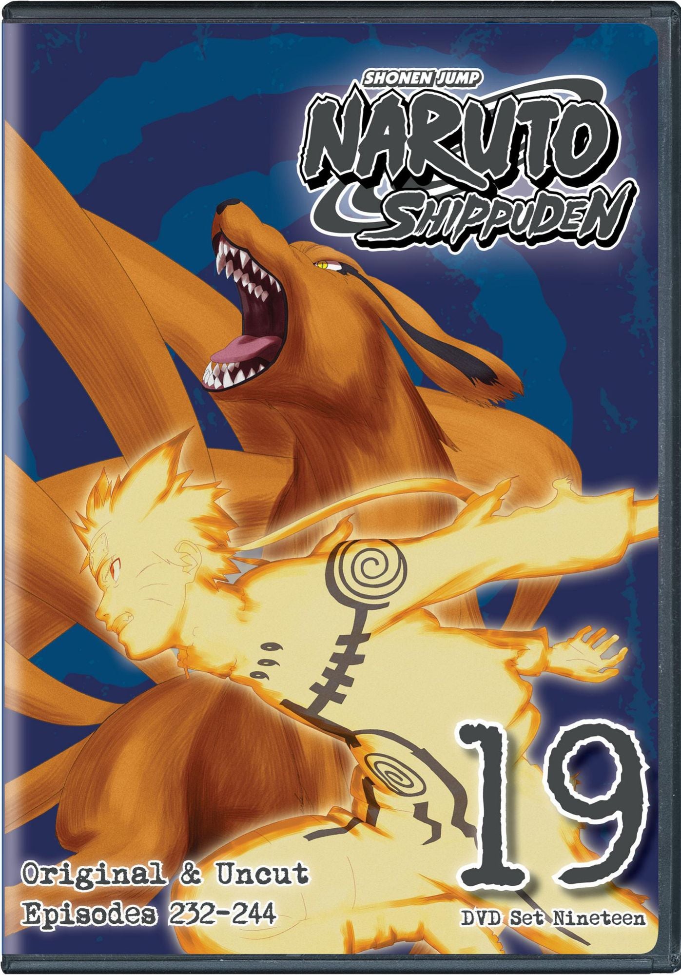 Naruto: Shippuden - Box Set 19 [2 Discs]
