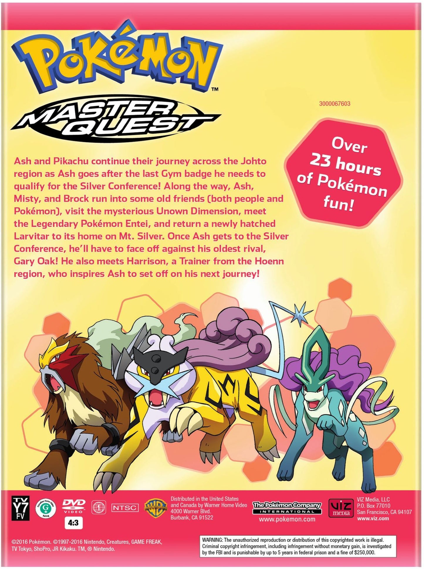 Pokemon: Master Quest - The Complete Collection