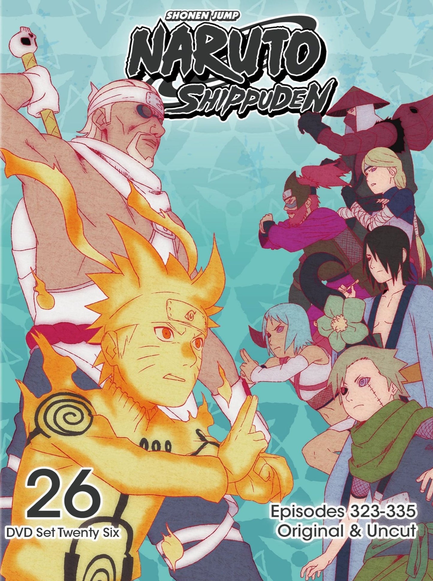 Naruto: Shippuden - Box Set 26 [2 Discs]