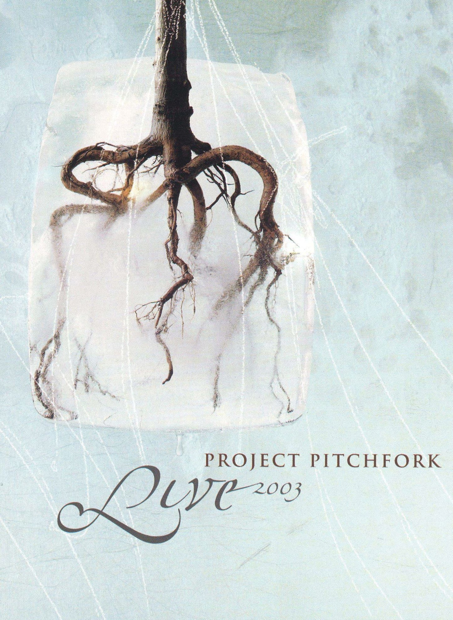 Project Pitchfork: Live 2003