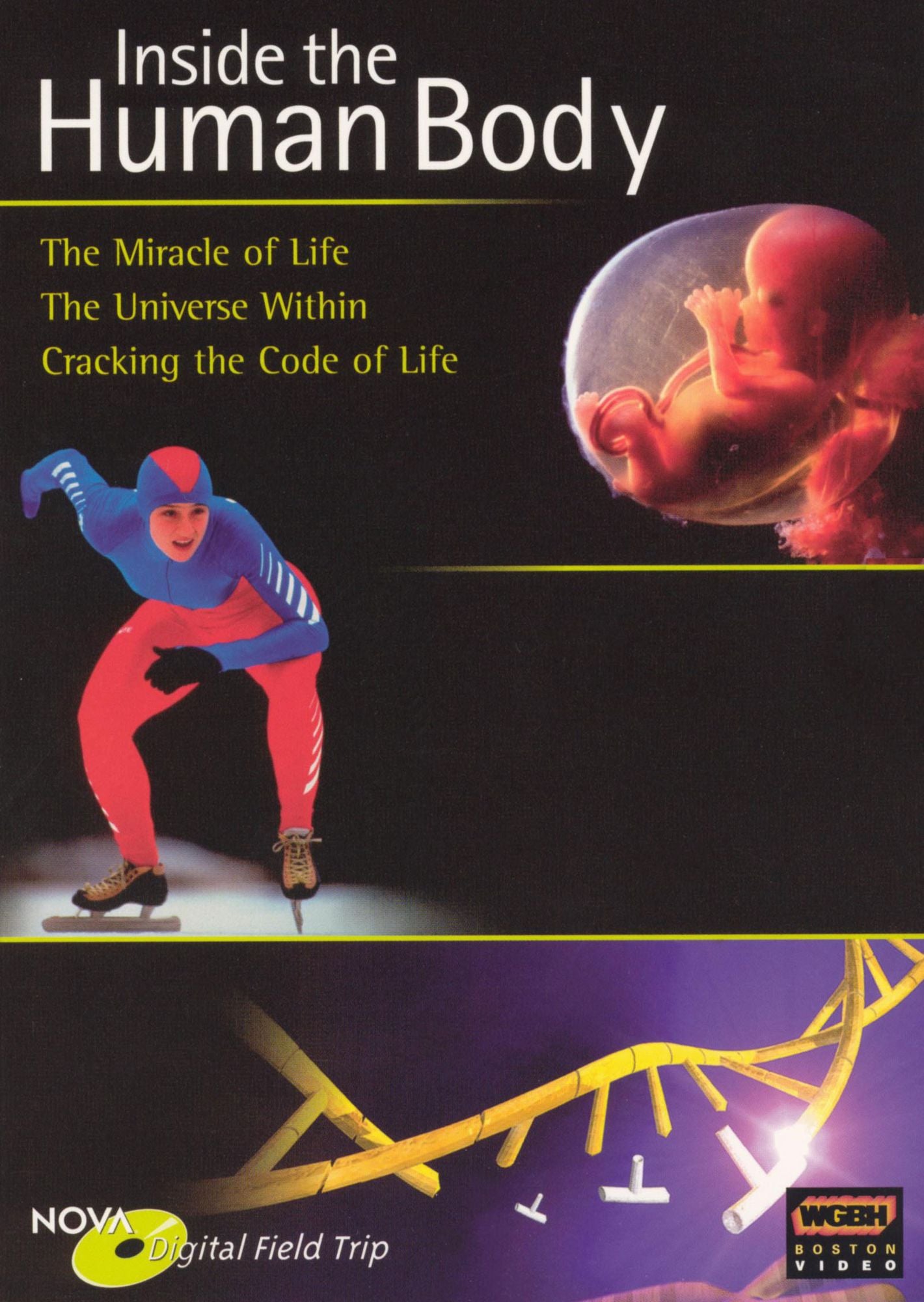 NOVA Field Trips: Inside the Human Body