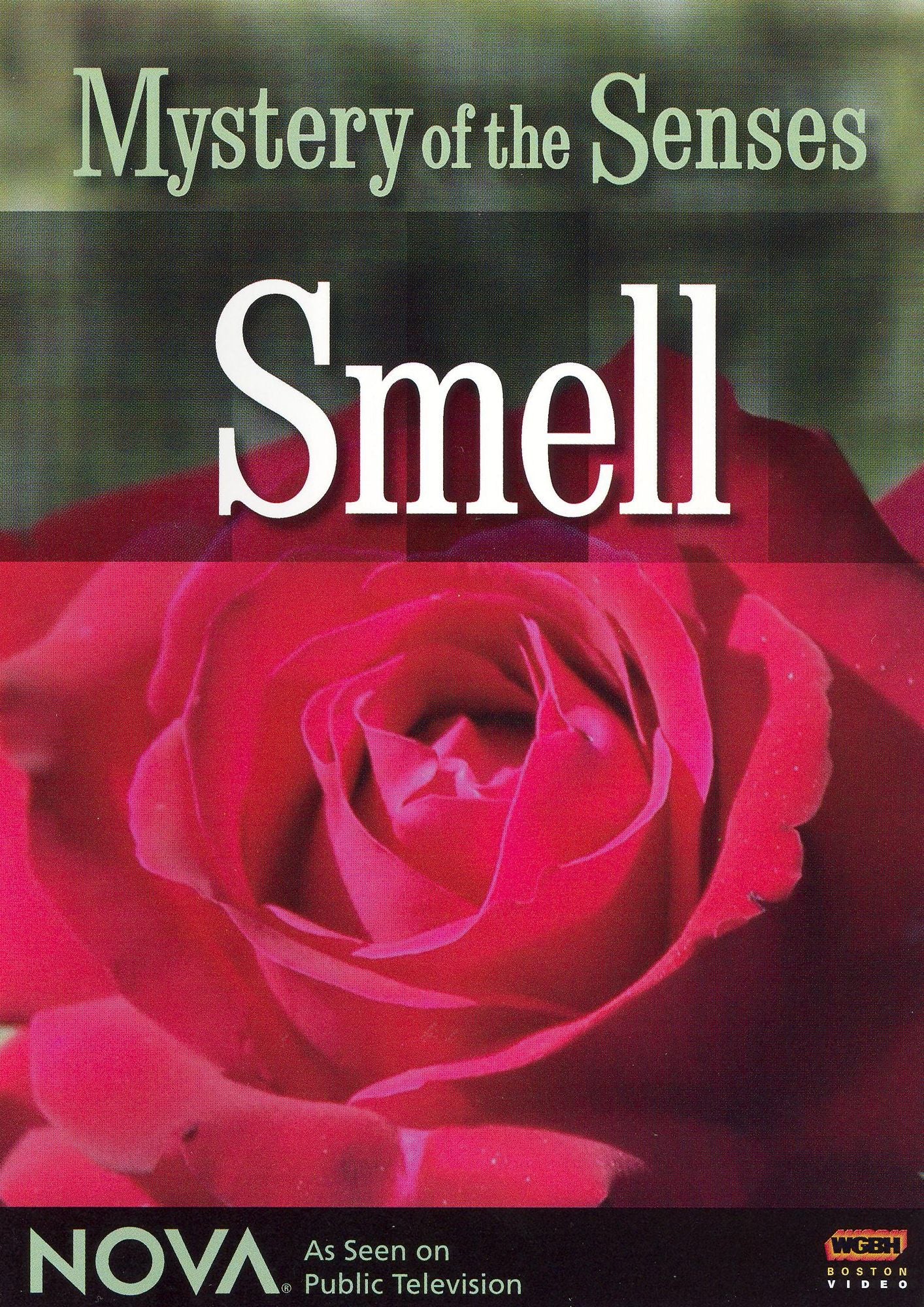 NOVA: Mystery of the Senses - Smell