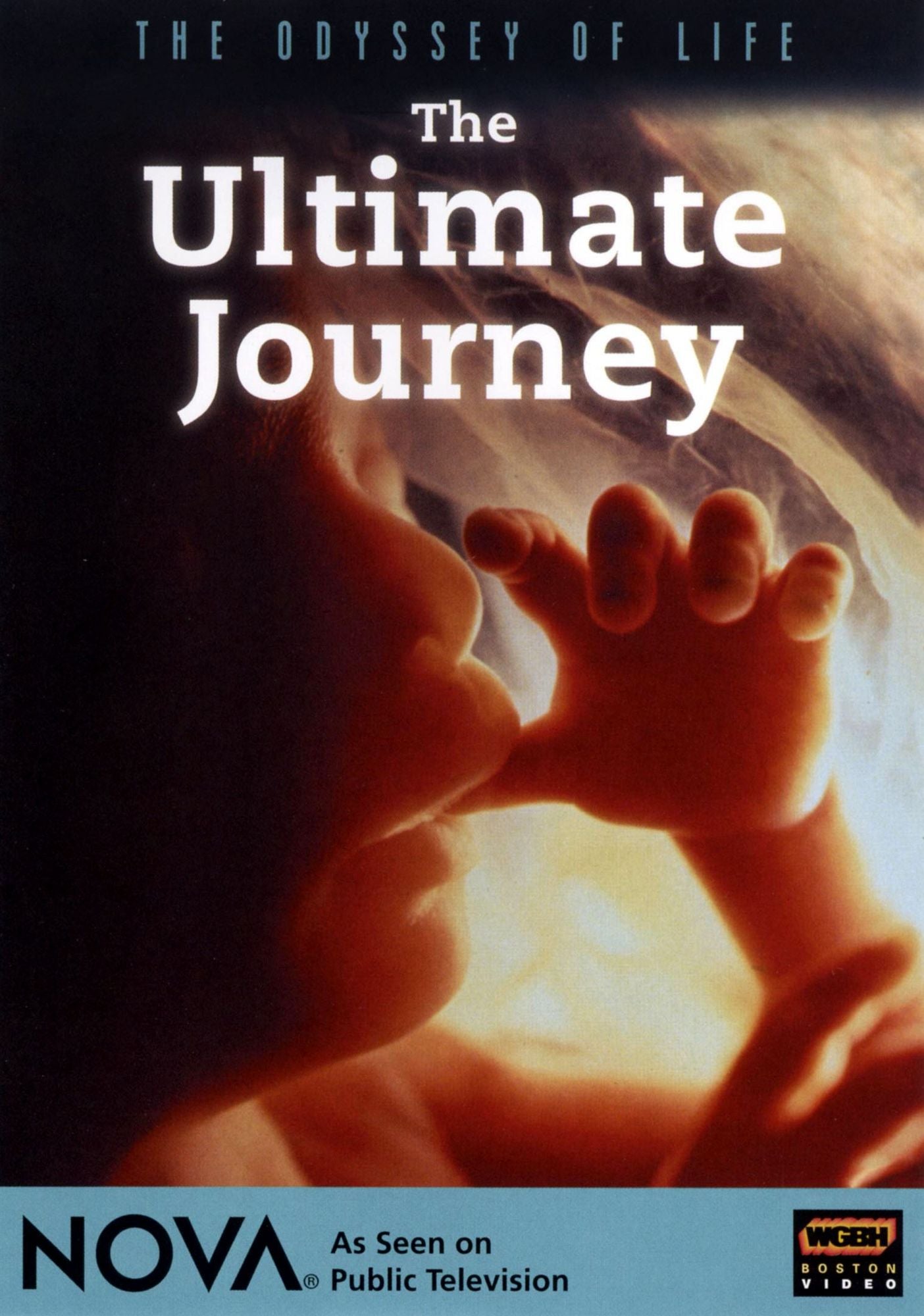 NOVA: The Odyssey of Life - The Ultimate Journey