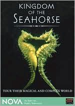 NOVA: Kingdom of the Seahorse