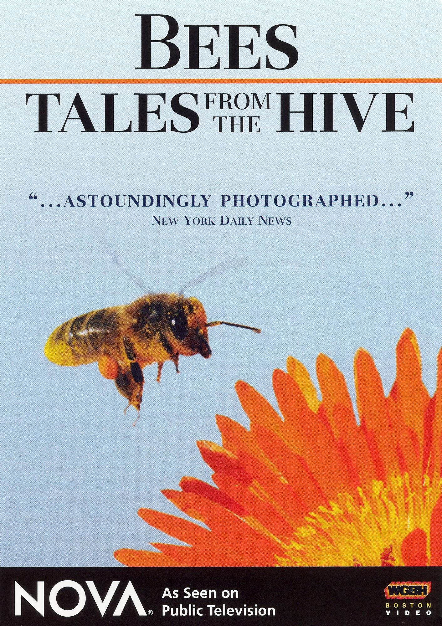 NOVA: Bees - Tales From the Hive