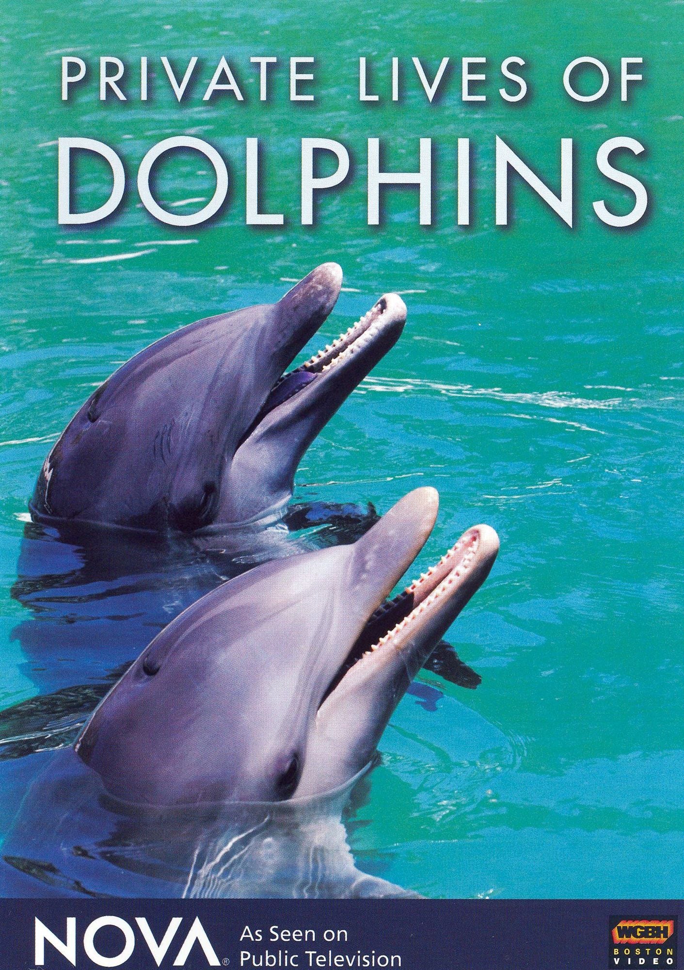 NOVA: Private Lives of Dolphins