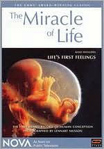 NOVA: The Miracle of Life/Life's First Feelings [2 Discs]