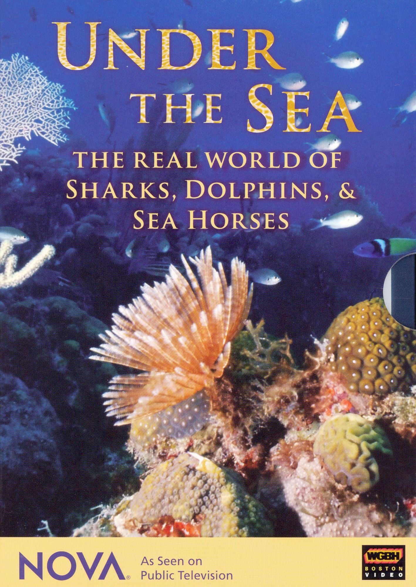 NOVA: Under the Sea - The Real World of Sharks, Dolphins, & Sea Horses [4 Discs]