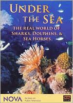 NOVA: Under the Sea - The Real World of Sharks, Dolphins, & Sea Horses [4 Discs]