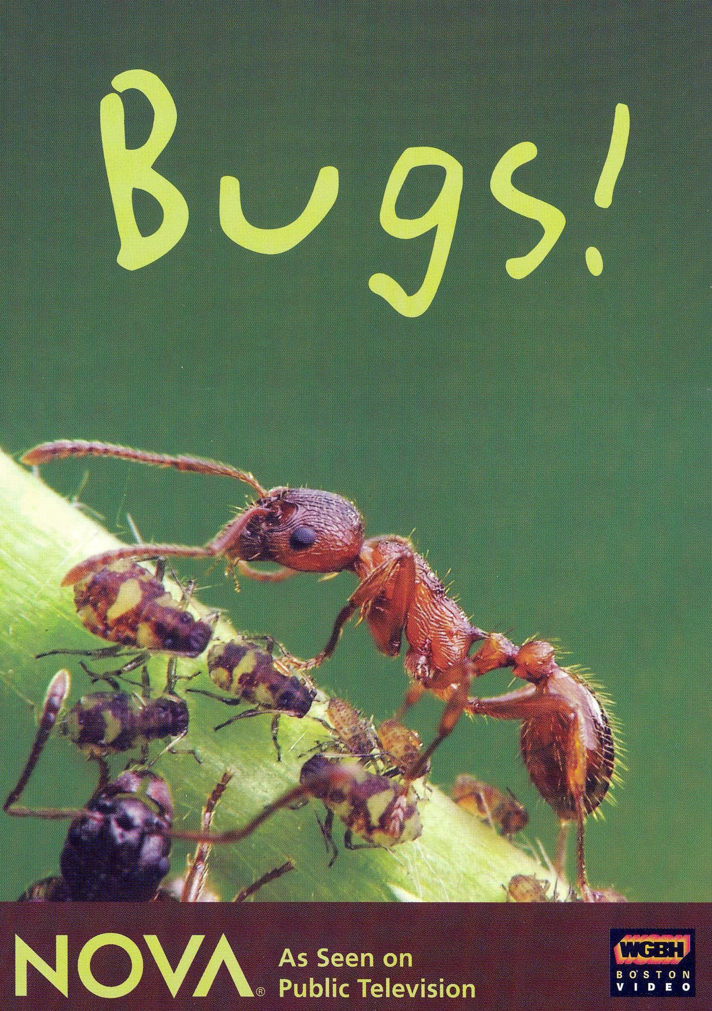 NOVA: Bugs [3 Discs]