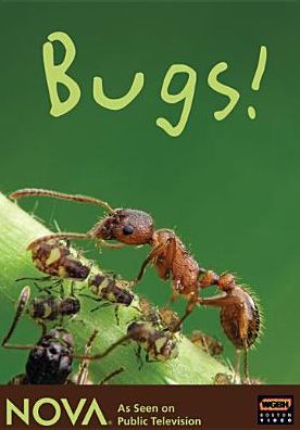 NOVA: Bugs [3 Discs]
