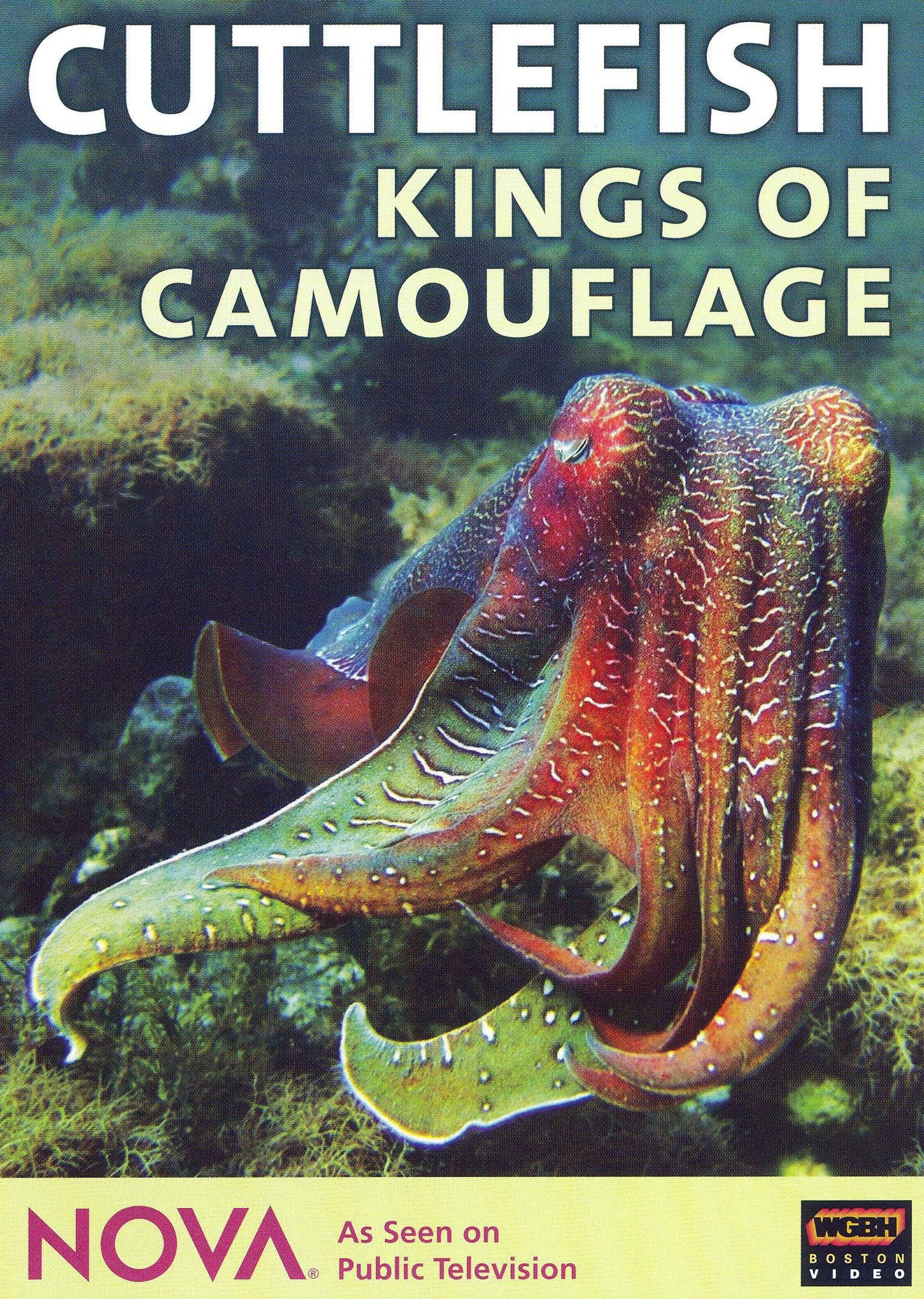 NOVA: Cuttlefish - Kings of Camouflage