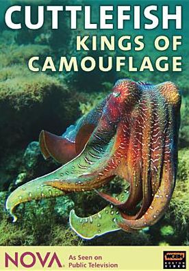 NOVA: Cuttlefish - Kings of Camouflage